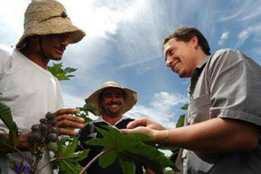 Lei de ATER avança e dá protagonismo a indígenas e agricultores familiares