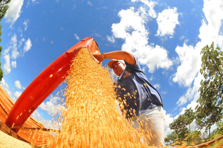 MS se consolida como estado exportador de produtos para mais de 120 países