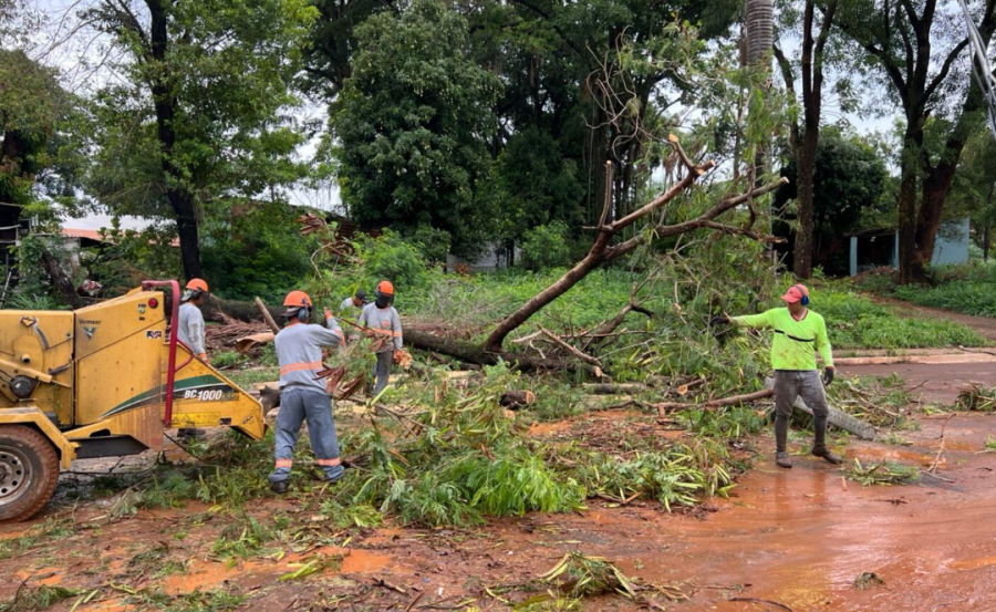 Prefeitura contabiliza mais de 217 solicitações devido ao temporal em Campo Grande