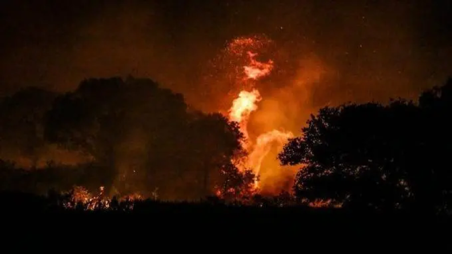 MP abre inquérito para apurar queima ilegal de mais de 2 mil hectares no Pantanal
