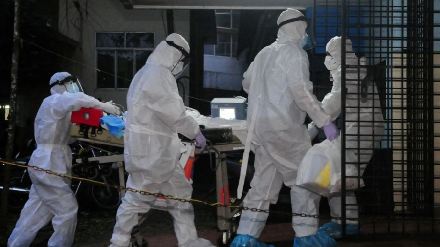 Especialista avalia que risco do Vírus Nipah para o Brasil é mínimo