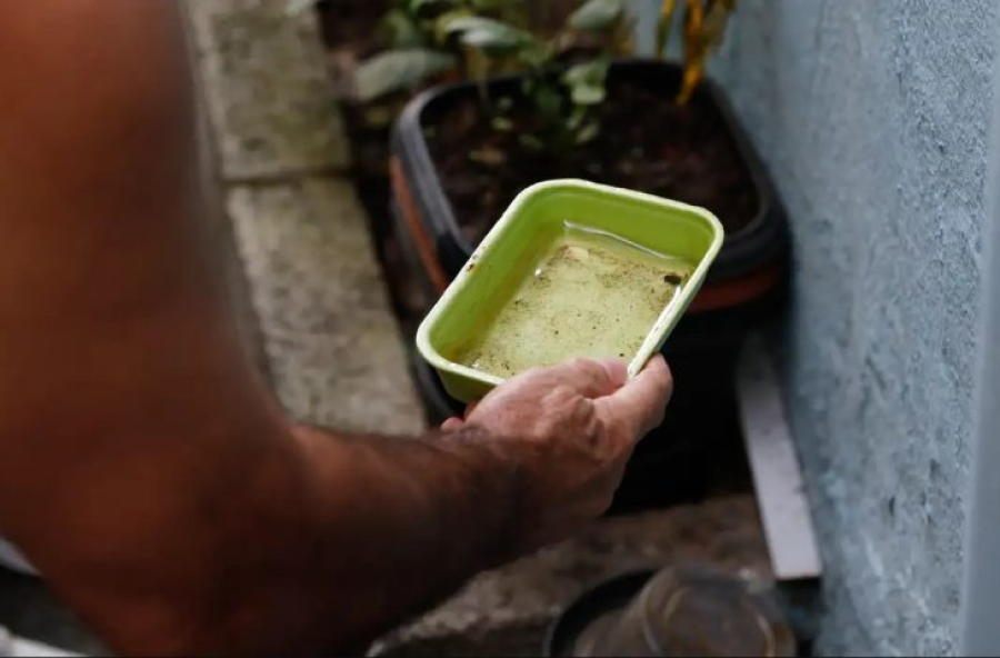 SES alerta para prevenção contra a dengue e chikungunya no Carnaval