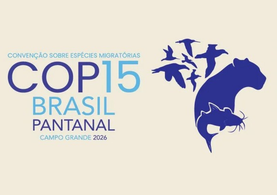 Senado aprova acordo e recursos para COP15 em Campo Grande; Nelsinho Trad confirma presença de Marina Silva