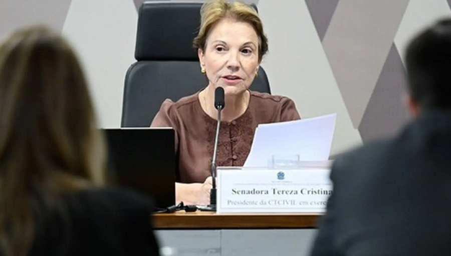 Senadora defende debate do novo Código Civil sem pressa