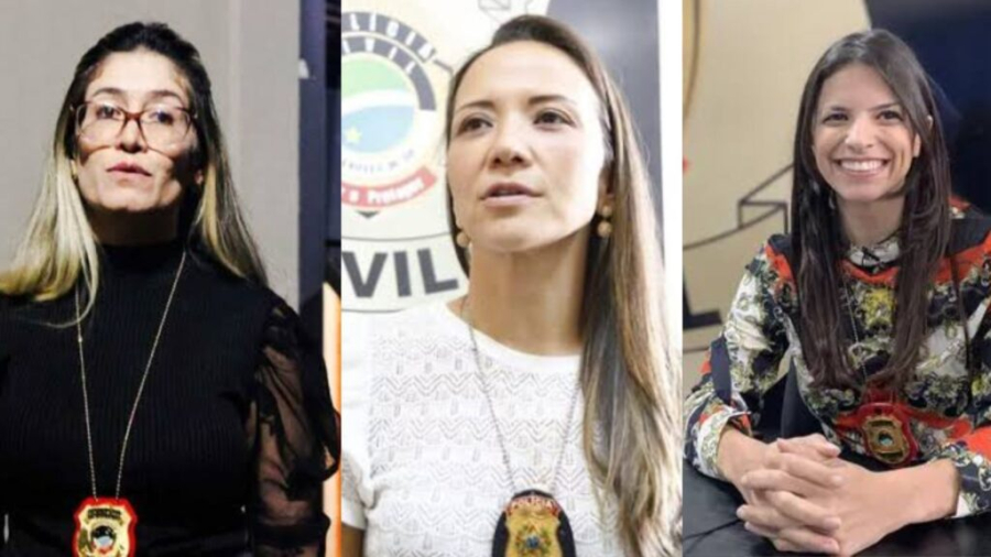 O Comtribuinte