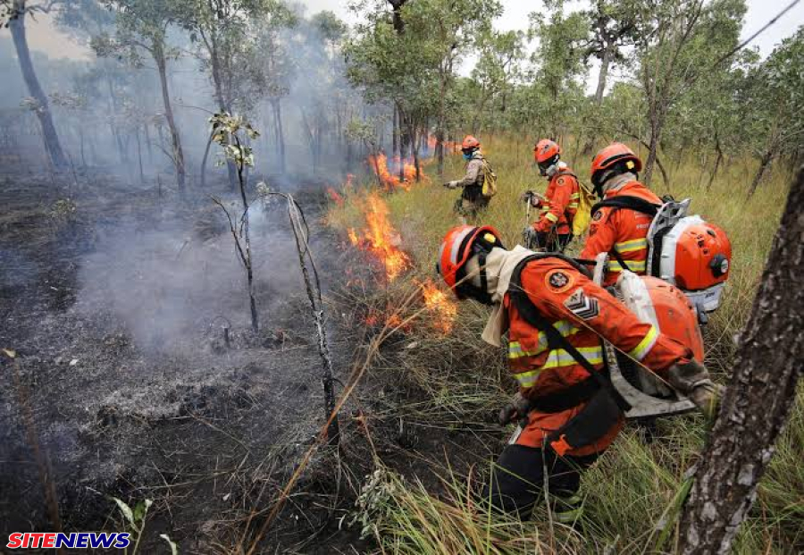 Eduardo Riedel assina decreto que declara estado de emergência ambiental em MS