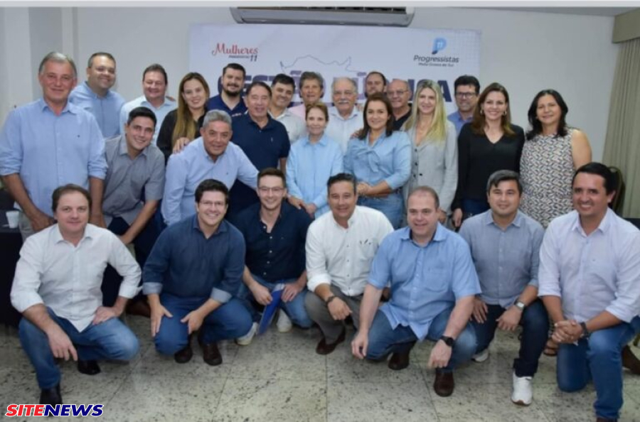  Tereza Cristina e lideranças políticas realizam reunião 